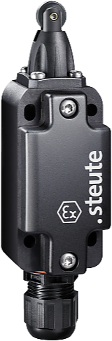 Ex EM 99 R-11 -60°C X | Positieschakelaar, Ex