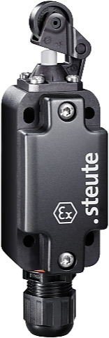 Ex ES 99 H-02 -60°C X | Positieschakelaar, Ex