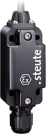 Ex ES 99 S-02 -60°C X | Positieschakelaar, Ex