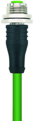 IE-FKFDSX8.066-5/S3500 | M12 connector, 8p, female 0°, 5 m, PUR, industrial ethernet