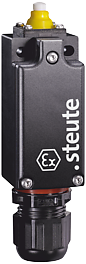 Ex ES 97 W-02 -60°C | Positieschakelaar, Ex