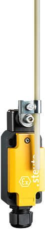 Ex EM 98 DD-11 -40 °C | Positieschakelaar, Ex